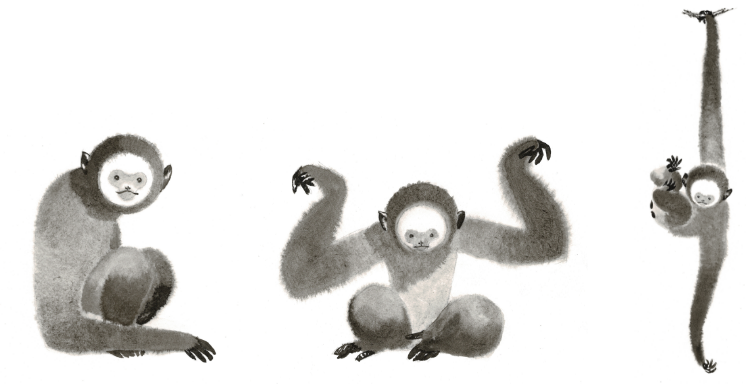 オリジナルキャラクター 猿猴の「ソン」